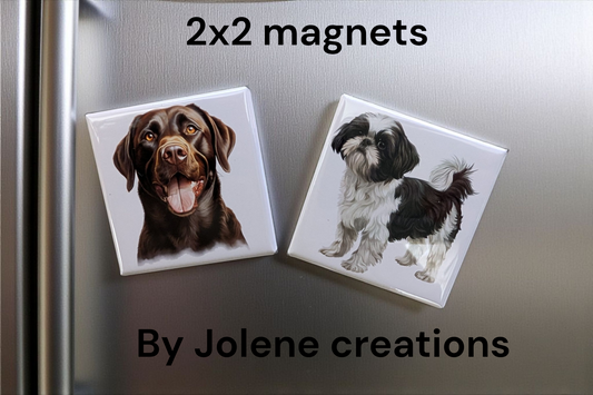 2×2 Square Magnet